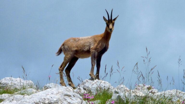 Parco Nazionale maiella