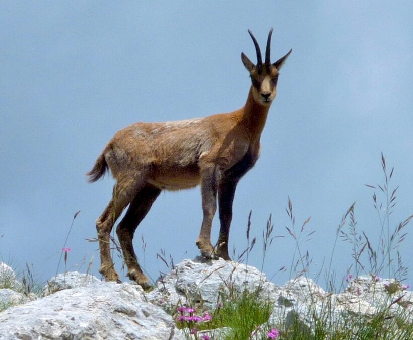 Parco Nazionale maiella