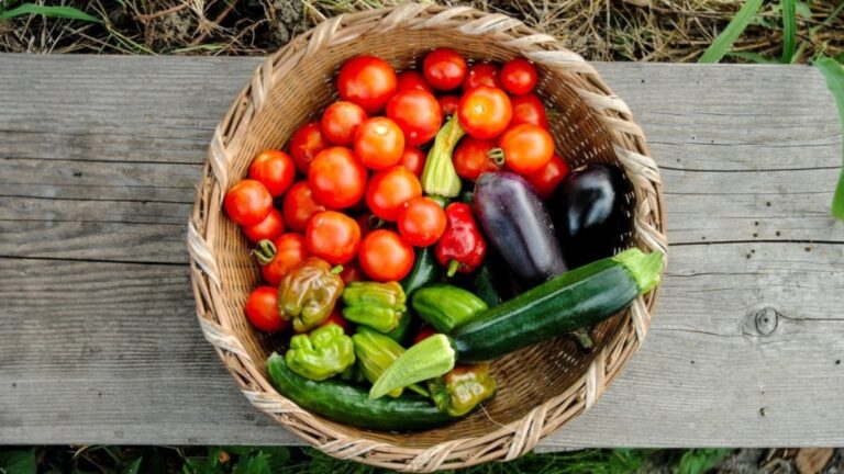 Agricoltura scuola di natura