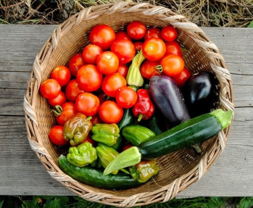 Agricoltura scuola di natura