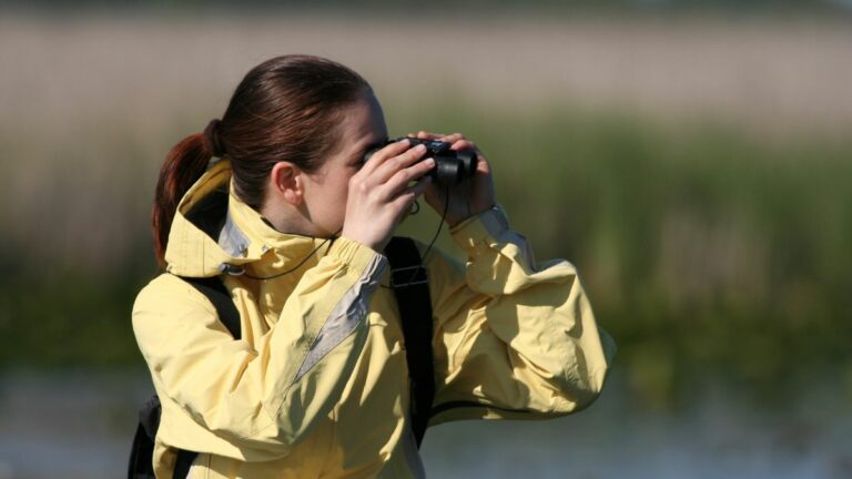 Birdwatching Orbetello Toscana parco Maremma