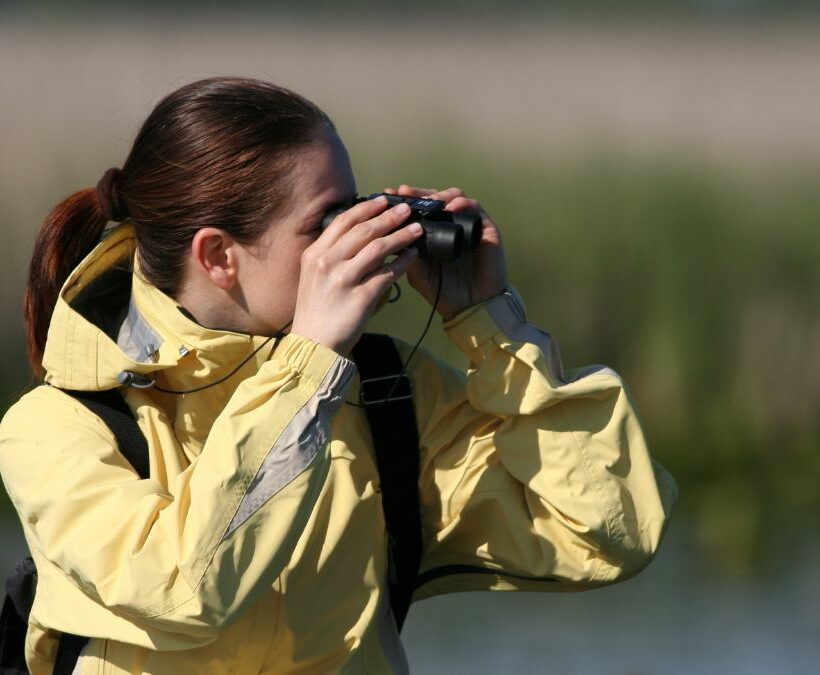 Birdwatching Orbetello Toscana parco Maremma